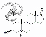 3-beta-Hydroxy-5-alpha-androstan-17-one