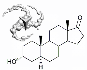 3-alpha-Hydroxy-5-alpha-androstan-17-one