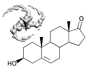 3-beta-hydroxyandrost-5-en-17-one