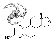Estra-1,3,5(10),16-tetraen-3-ol